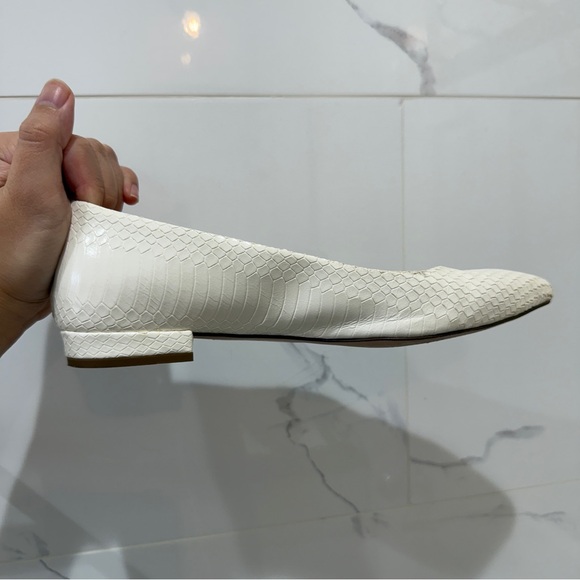 J.crew pointy toe flat in python - Picture 15 of 16
